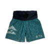 T8 Inked Teal Sherpa Shorts