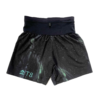 T8 Aurora Sherpa Shorts