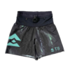 T8 Aurora Sherpa Shorts